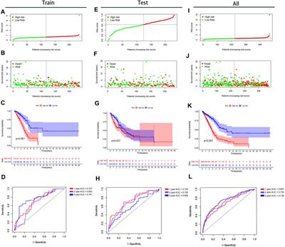 Relationships of N6-Methyladenosine-Related Long Non-Coding RNAs With Tumor Immune Microenvironment and Clinical Prognosis in Lung Adenocarcinoma